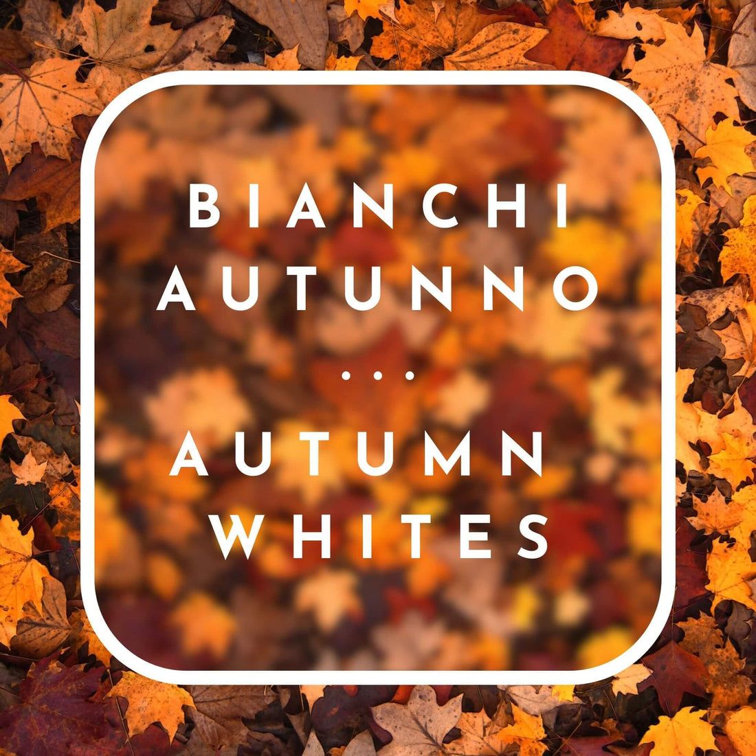 Box Mista Bianchi Autunno [4pz] - Sfusobuono