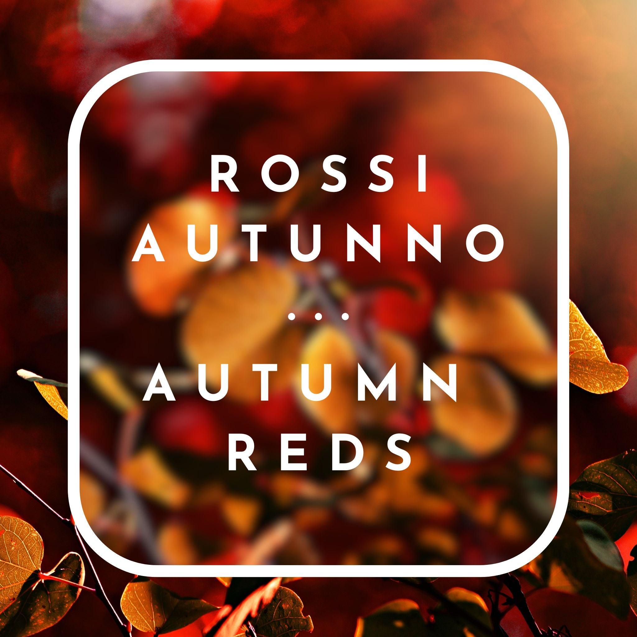 Mixed Box Autumn Red Wines [4pcs]