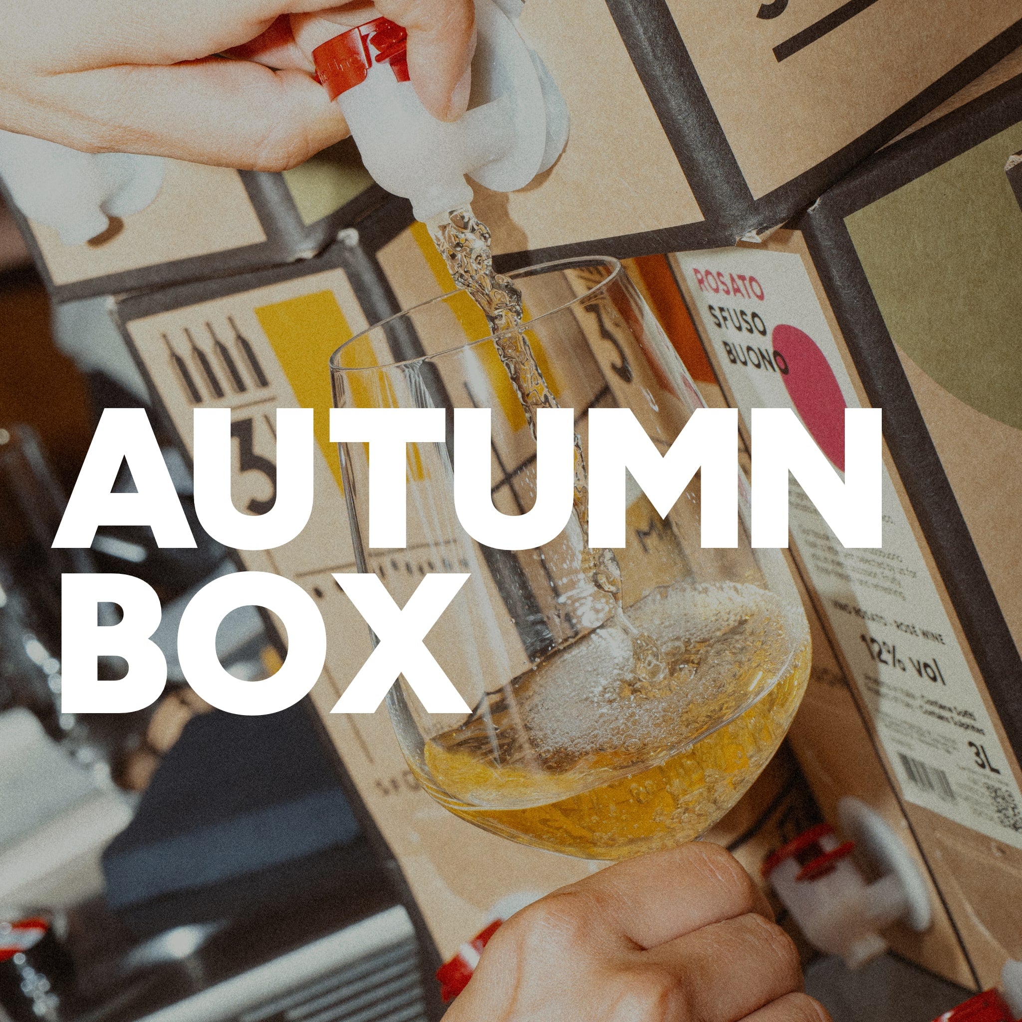 Gemischte Herbstweiß-Box [4 Stück]