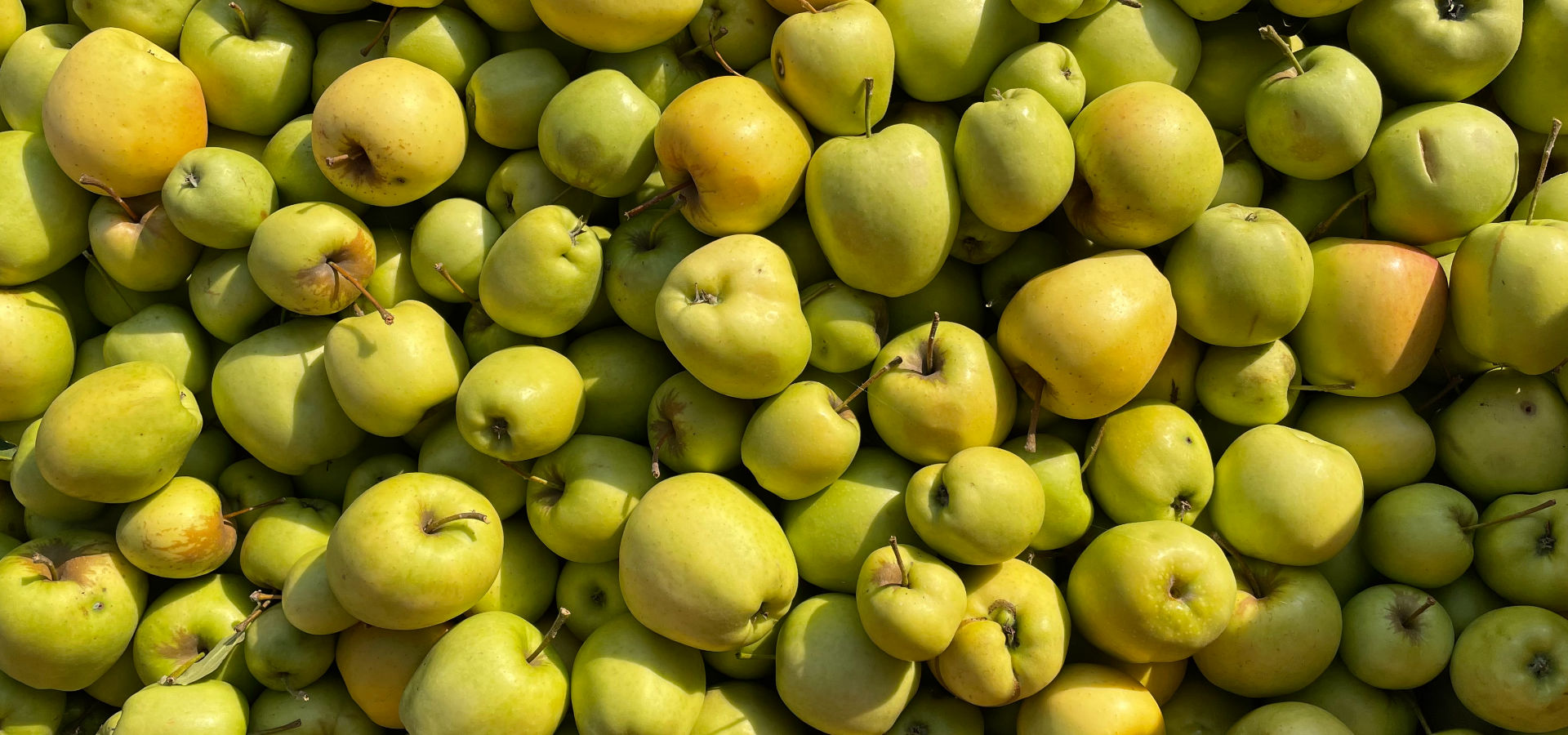Succo di mele senza conservanti e zuccheri aggiunti