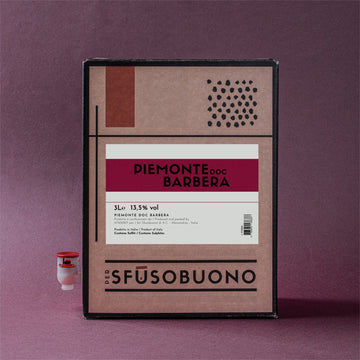 Barbera Piemonte DOC 3L - Sfusobuono